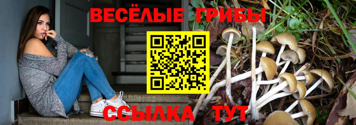 Ачинск  Псилоцибиновые грибы мухоморы  Вход с VPN 