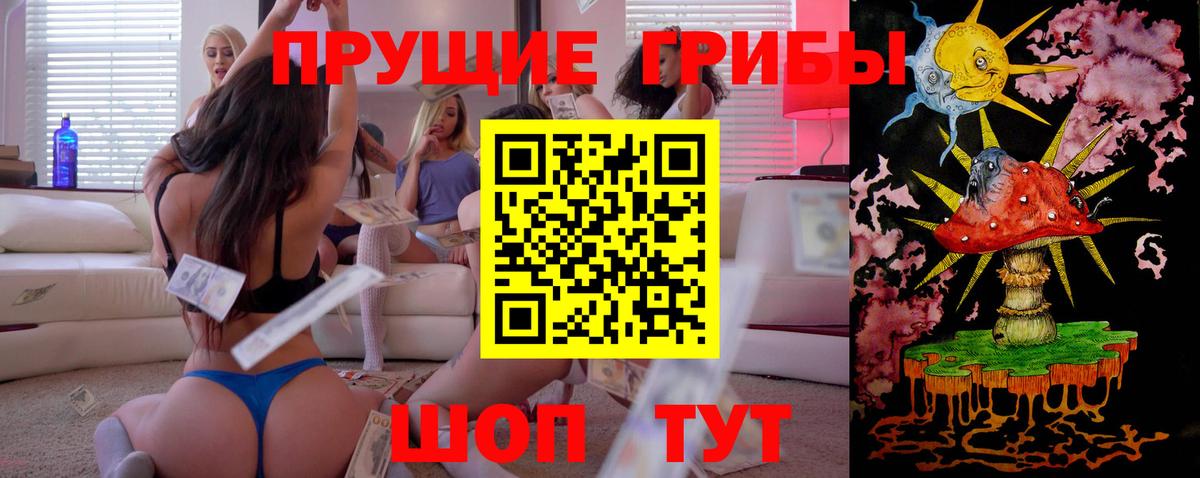 Псилоцибиновые грибы Cubensis Ачинск